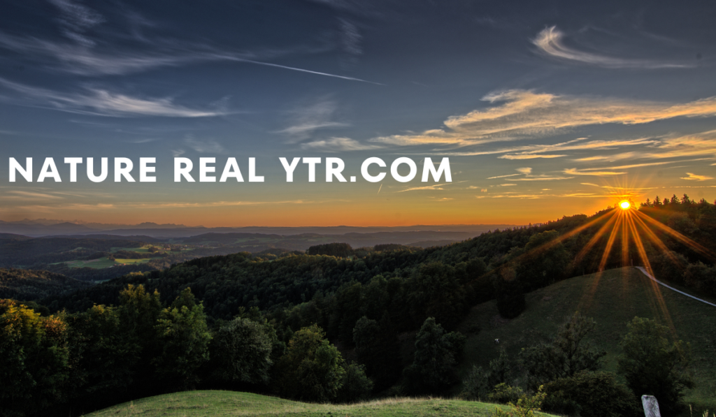 Nature Real YTR.com